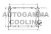 AUTOGAMMA 104262 Radiator, engine cooling